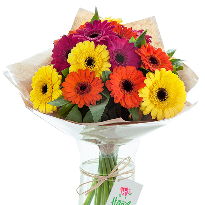 Bright, passionate, and brimming with local charm, this hand-tied bouquet of Gerbera daisies stands out as the very definition of fresh floral artistry in North Kensington. The composition features an exuberant mix of buttery yellow, tangerine orange, and deep magenta blooms, each daisy boasting a dramatic inky-dark center for captivating contrast. Vibrant green leaves intersperse between blossoms, creating a layered tapestry of colour and texture that mirrors the natural landscapes found near the surrounding canal paths and parks. The arrangement is gently wrapped with a layer of earthy brown kraft paper that enhances the visual warmth, while an outer cloak of shiny, crystal-clear cellophane secures the flowers and brings out a touch of urban sophistication-much like the blend of old-world charm and contemporary flair along the streets of North Kensington. The sturdy stems, visible through a classically shaped clear glass vase, rest in a cushion of fresh water, ensuring the vitality of every flower. As a finishing touch, a piece of woven raffia ties the bouquet together, from which a small white tag featuring a stylised rose illustration swings gently-perfect for a handwritten sentiment. Crafted with the expert eye of Florist North Kensington, this arrangement is ideal for life's bright occasions, from milestone celebrations to simple messages of cheer-a vibrant reminder of the joy found in both flowers and the vibrant heart of the community.